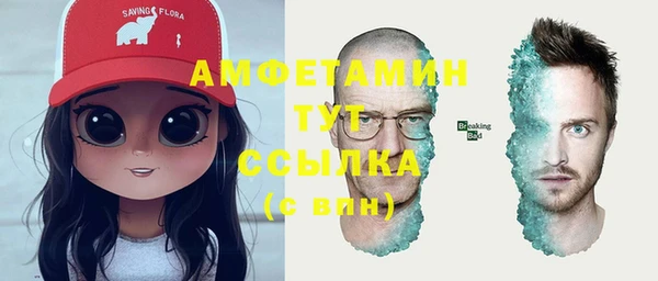 дживик Вязьма