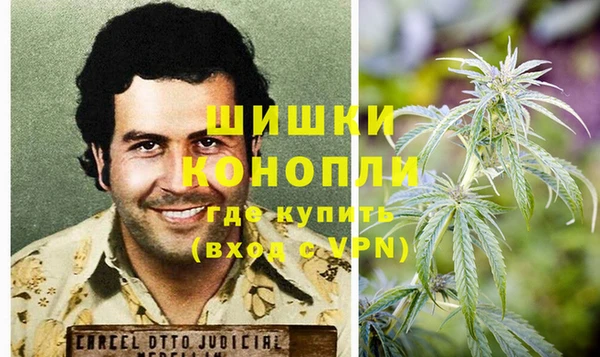 дживик Вязьма