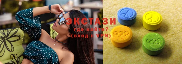 дживик Вязьма